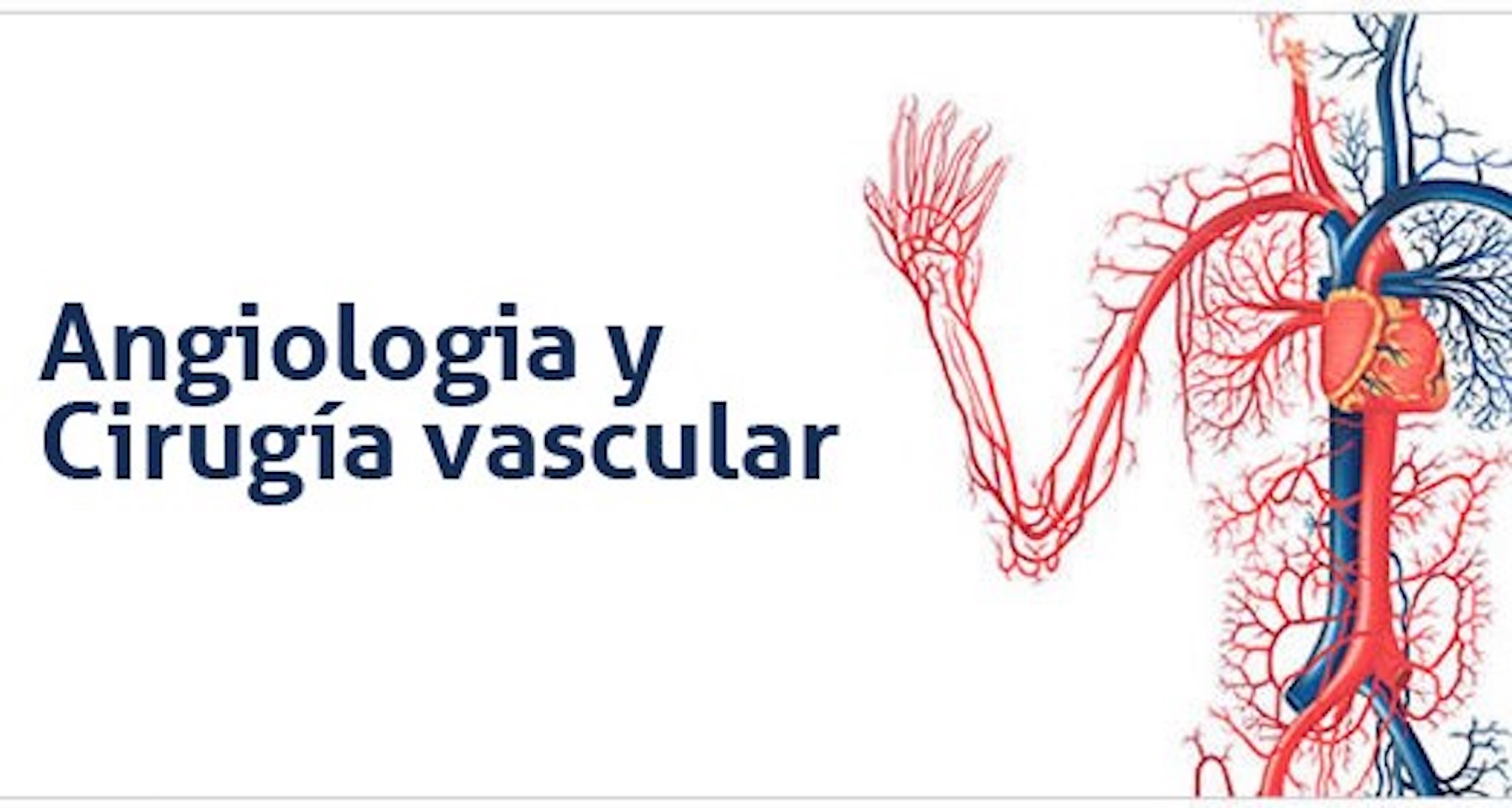 angiologia y cirugia vascular